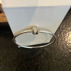 Brand New, never worn Pandora Charm Bracelet I also have the box